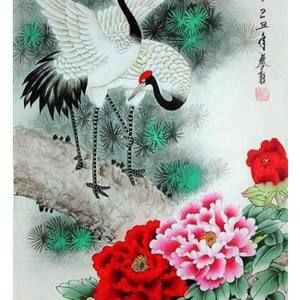 Meet your Posher, Tran